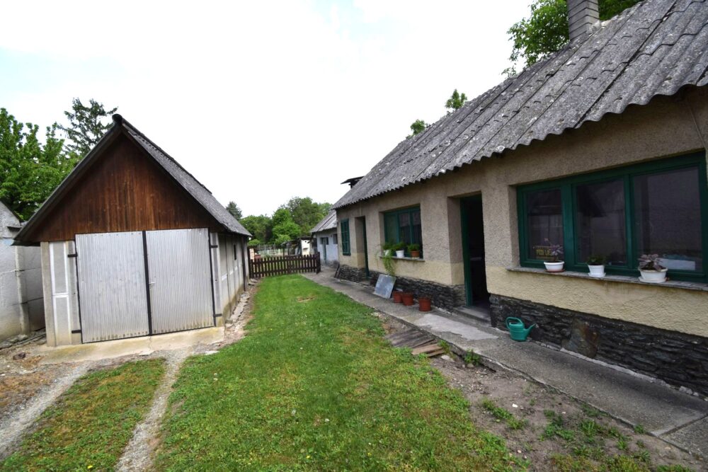 11 – DSC_0441