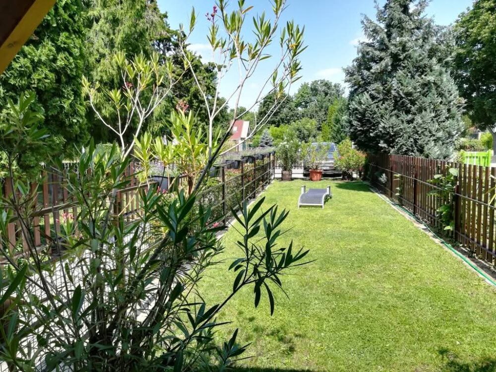 ca2a9149-af23-4b10-8caf-5299f0392252