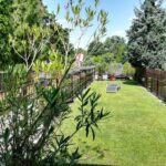 ca2a9149-af23-4b10-8caf-5299f0392252