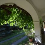2 – DSC_1136