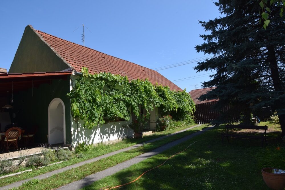 3 – DSC_1139