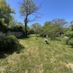 3 – unnamed (7)