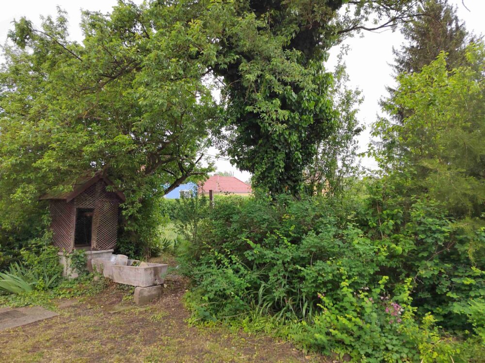 10 – 1000015234