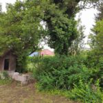 10 – 1000015234