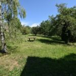 2 – DSC_0457
