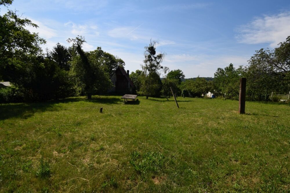 3 – DSC_0453