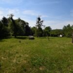 3 – DSC_0453