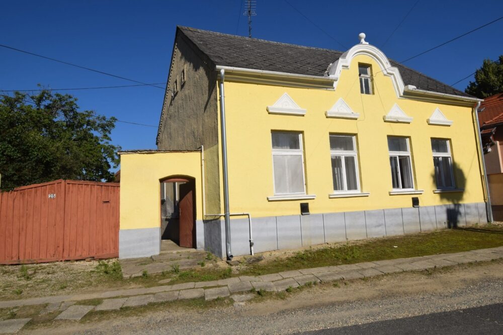 1 – DSC_0387