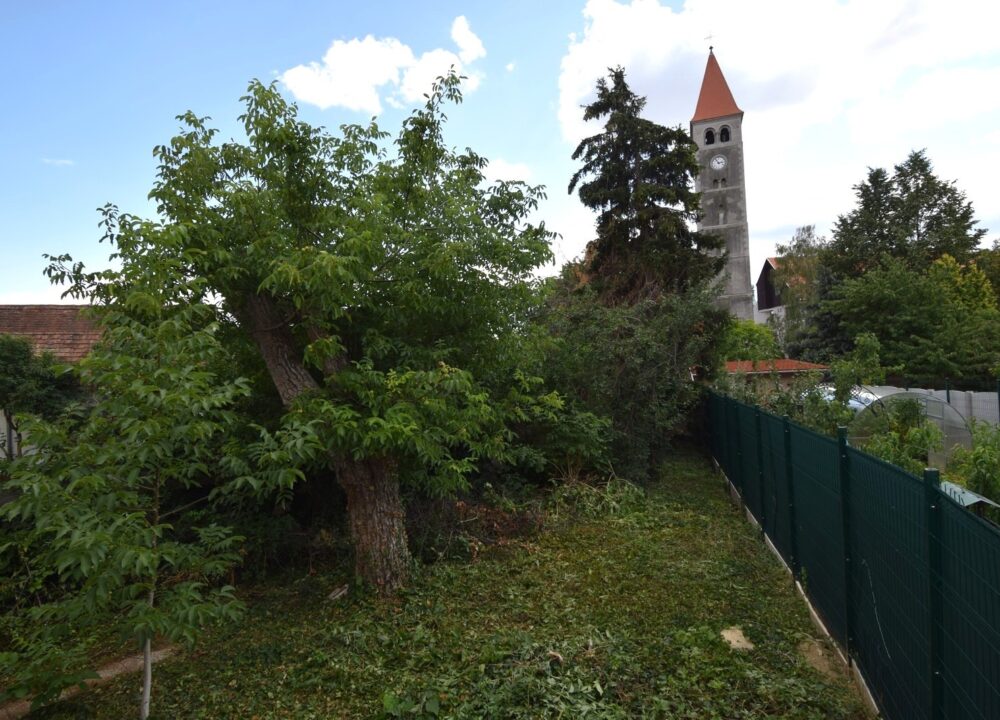 6 – DSC_0688