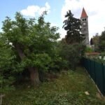 6 – DSC_0688