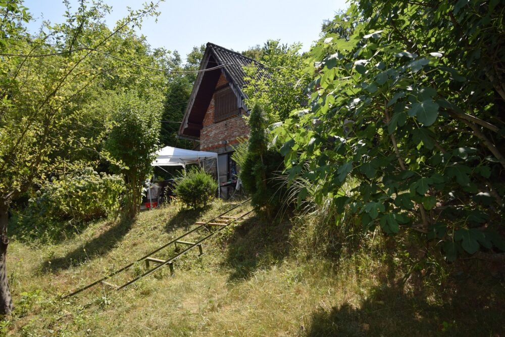2 – DSC_0041