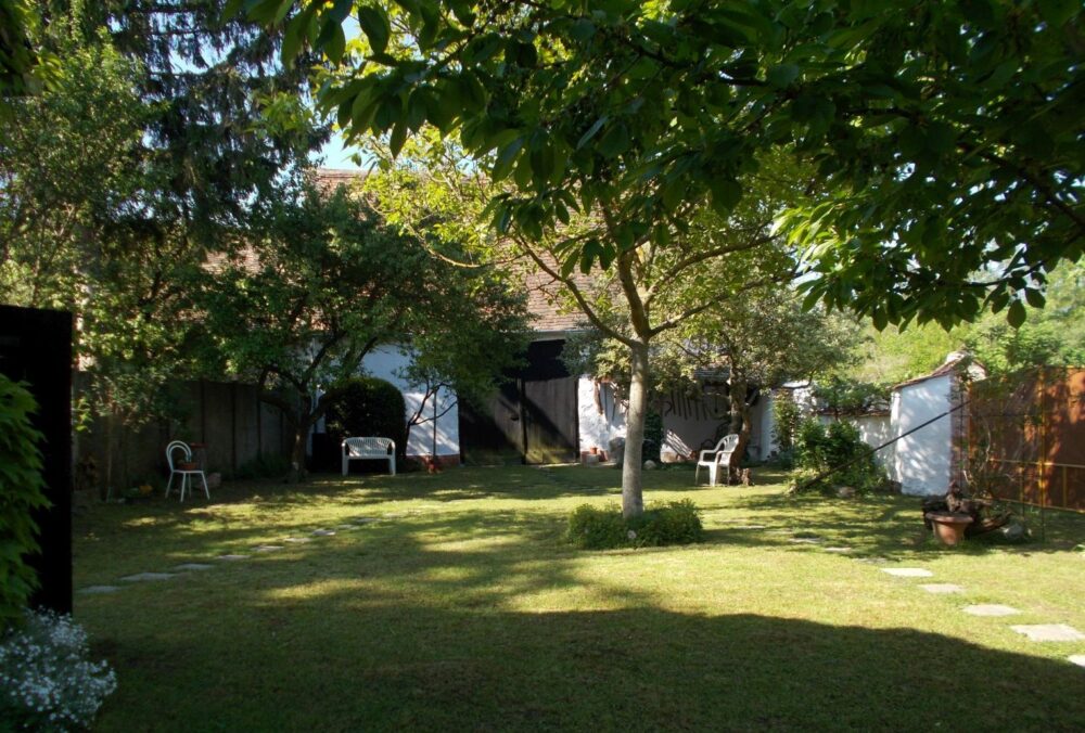 10 – DSCN6628