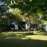 10 – DSCN6628