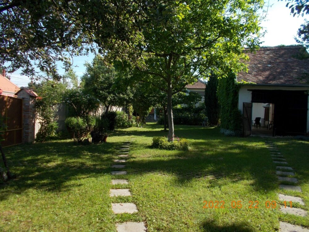 2 – DSCN6764