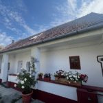 1 – skawa6